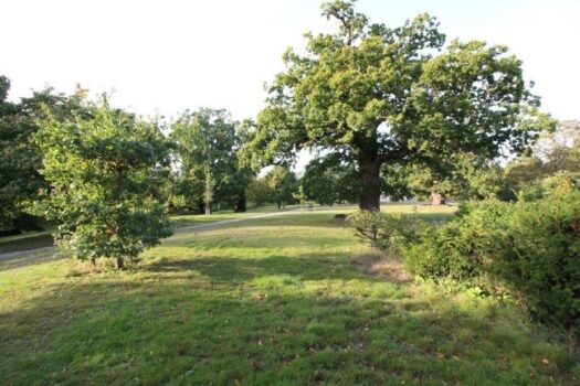 Two Bedroom Apartment To Let in Westerfield Road